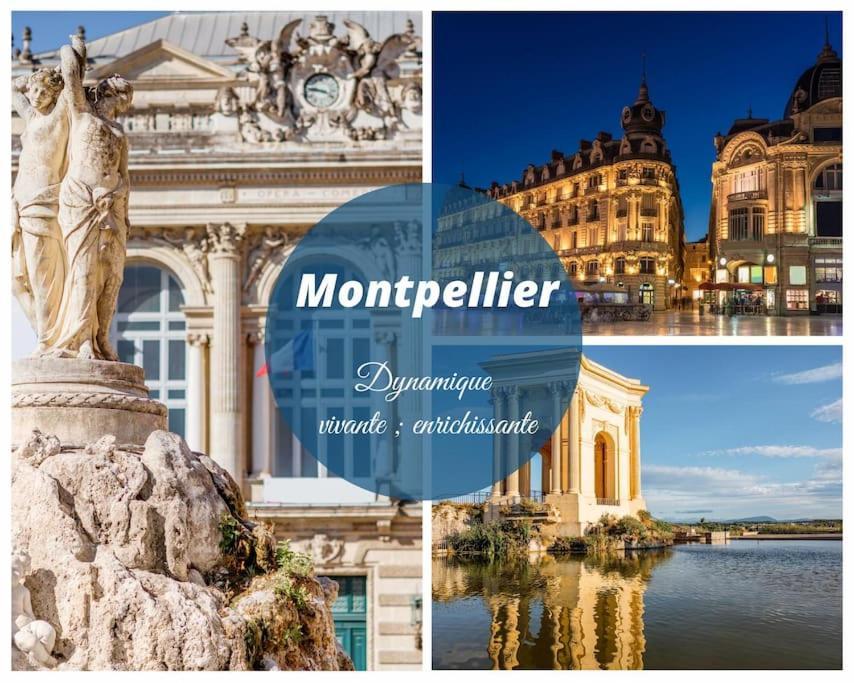 Le Nautilus Proche Plage Clim Parking Prive Wifi Proche Montpellier Carnon-Plage Ngoại thất bức ảnh